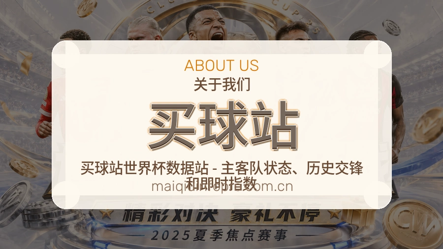 买球站综合体育服务